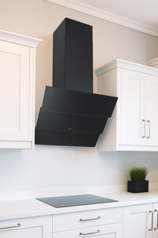 Aspirator PROFF LD57-BL 550m³