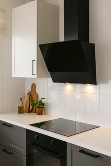 Aspirator PROFF LD47-BL 550m³