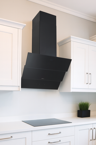 Aspirator PROFF LD57-BL 550m³ 1251